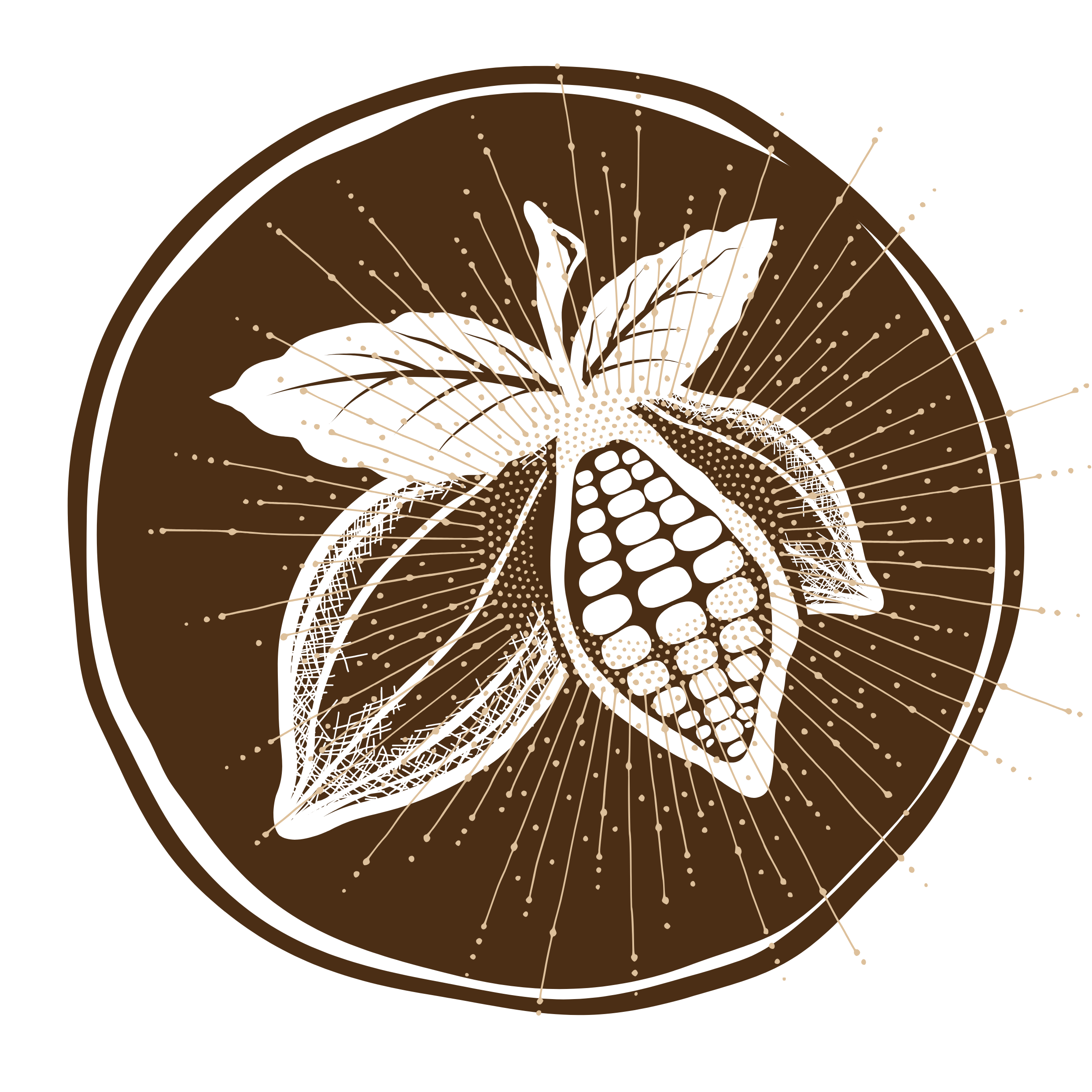 Ceremonias con cacao